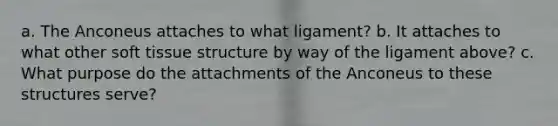 a. The Anconeus attaches to what ligament? b. It attaches to what other soft tissue structure by way of the ligament above? c. What purpose do the attachments of the Anconeus to these structures serve?