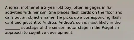 Andrea, mother of a 2-year-old boy, often engages in fun activities with her son. She places flash cards on the floor and calls out an object's name. He picks up a corresponding flash card and gives it to Andrea. Andrea's son is most likely in the ________ substage of the sensorimotor stage in the Piagetian approach to cognitive development.