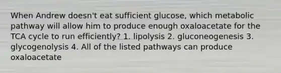 When Andrew doesn't eat sufficient glucose, which metabolic pathway will allow him to produce enough oxaloacetate for the TCA cycle to run efficiently? 1. lipolysis 2. gluconeogenesis 3. glycogenolysis 4. All of the listed pathways can produce oxaloacetate