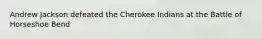 Andrew Jackson defeated the Cherokee Indians at the Battle of Horseshoe Bend