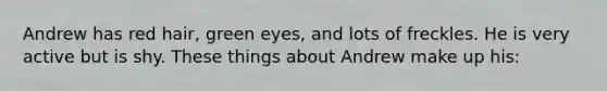 Andrew has red hair, green eyes, and lots of freckles. He is very active but is shy. These things about Andrew make up his: