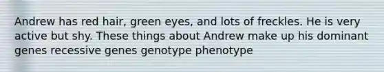 Andrew has red hair, green eyes, and lots of freckles. He is very active but shy. These things about Andrew make up his dominant genes recessive genes genotype phenotype