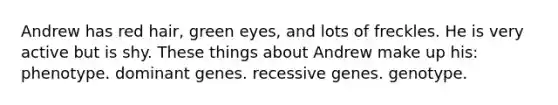 Andrew has red hair, green eyes, and lots of freckles. He is very active but is shy. These things about Andrew make up his: phenotype. dominant genes. recessive genes. genotype.