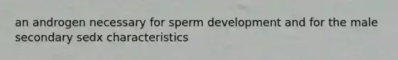 an androgen necessary for sperm development and for the male secondary sedx characteristics