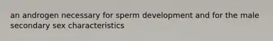 an androgen necessary for sperm development and for the male secondary sex characteristics