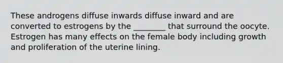 These androgens diffuse inwards diffuse inward and are converted to estrogens by the ________ that surround the oocyte. Estrogen has many effects on the female body including growth and proliferation of the uterine lining.