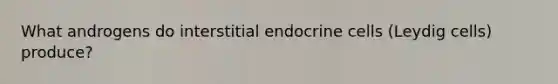 What androgens do interstitial endocrine cells (Leydig cells) produce?