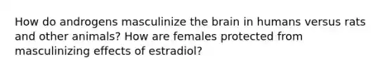 How do androgens masculinize the brain in humans versus rats and other animals? How are females protected from masculinizing effects of estradiol?