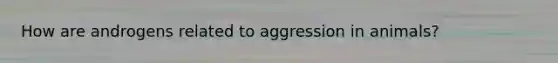 How are androgens related to aggression in animals?