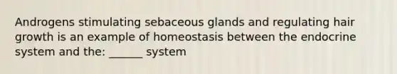 Androgens stimulating sebaceous glands and regulating hair growth is an example of homeostasis between the endocrine system and the: ______ system