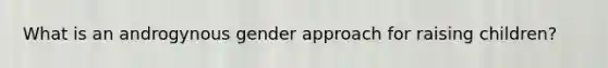 What is an androgynous gender approach for raising children?