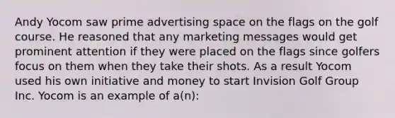 Andy Yocom saw prime advertising space on the flags on the golf course. He reasoned that any marketing messages would get prominent attention if they were placed on the flags since golfers focus on them when they take their shots. As a result Yocom used his own initiative and money to start Invision Golf Group Inc. Yocom is an example of a(n):