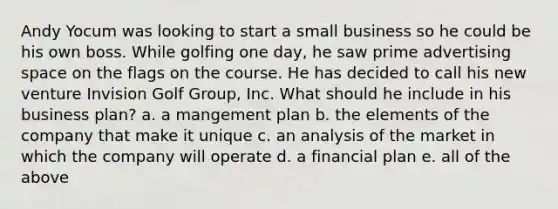 Andy Yocum was looking to start a small business so he could be his own boss. While golfing one day, he saw prime advertising space on the flags on the course. He has decided to call his new venture Invision Golf Group, Inc. What should he include in his business plan? a. a mangement plan b. the elements of the company that make it unique c. an analysis of the market in which the company will operate d. a financial plan e. all of the above