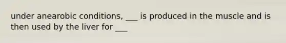 under anearobic conditions, ___ is produced in the muscle and is then used by the liver for ___