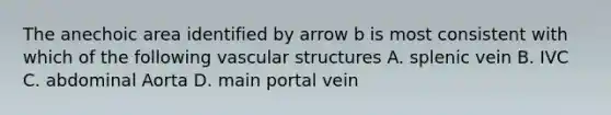 The anechoic area identified by arrow b is most consistent with which of the following vascular structures A. splenic vein B. IVC C. abdominal Aorta D. main portal vein