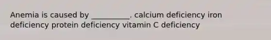 Anemia is caused by __________. calcium deficiency iron deficiency protein deficiency vitamin C deficiency