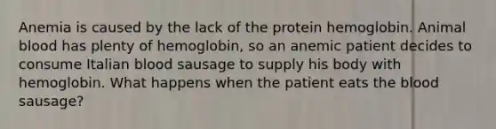 Anemia is caused by the lack of the protein hemoglobin. Animal blood has plenty of hemoglobin, so an anemic patient decides to consume Italian blood sausage to supply his body with hemoglobin. What happens when the patient eats the blood sausage?