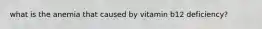 what is the anemia that caused by vitamin b12 deficiency?