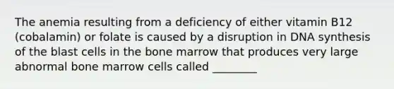 The anemia resulting from a deficiency of either vitamin B12 (cobalamin) or folate is caused by a disruption in DNA synthesis of the blast cells in the bone marrow that produces very large abnormal bone marrow cells called ________