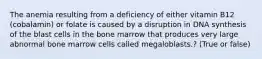 The anemia resulting from a deficiency of either vitamin B12 (cobalamin) or folate is caused by a disruption in DNA synthesis of the blast cells in the bone marrow that produces very large abnormal bone marrow cells called megaloblasts.? (True or false)