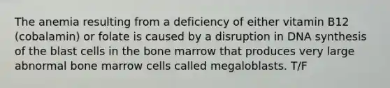 The anemia resulting from a deficiency of either vitamin B12 (cobalamin) or folate is caused by a disruption in DNA synthesis of the blast cells in the bone marrow that produces very large abnormal bone marrow cells called megaloblasts. T/F