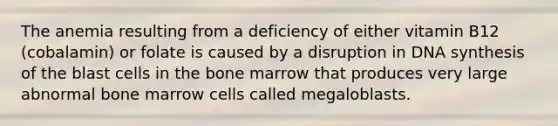 The anemia resulting from a deficiency of either vitamin B12 (cobalamin) or folate is caused by a disruption in DNA synthesis of the blast cells in the bone marrow that produces very large abnormal bone marrow cells called megaloblasts.