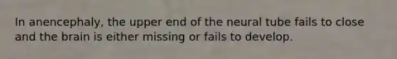 In anencephaly, the upper end of the neural tube fails to close and the brain is either missing or fails to develop.