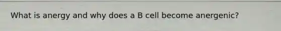 What is anergy and why does a B cell become anergenic?