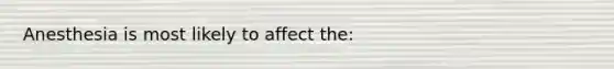 Anesthesia is most likely to affect the: