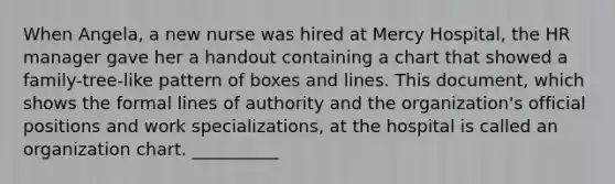 When Angela, a new nurse was hired at Mercy Hospital, the HR manager gave her a handout containing a chart that showed a family-tree-like pattern of boxes and lines. This document, which shows the formal lines of authority and the organization's official positions and work specializations, at the hospital is called an organization chart. __________