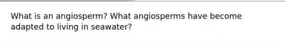 What is an angiosperm? What angiosperms have become adapted to living in seawater?