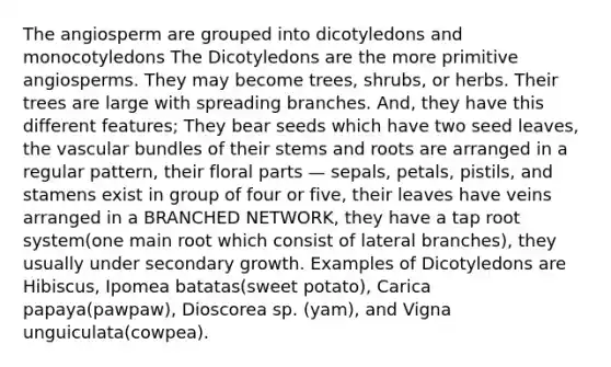 The angiosperm are grouped into dicotyledons and monocotyledons The Dicotyledons are the more primitive angiosperms. They may become trees, shrubs, or herbs. Their trees are large with spreading branches. And, they have this different features; They bear seeds which have two seed leaves, the vascular bundles of their stems and roots are arranged in a regular pattern, their floral parts — sepals, petals, pistils, and stamens exist in group of four or five, their leaves have veins arranged in a BRANCHED NETWORK, they have a tap root system(one main root which consist of lateral branches), they usually under secondary growth. Examples of Dicotyledons are Hibiscus, Ipomea batatas(sweet potato), Carica papaya(pawpaw), Dioscorea sp. (yam), and Vigna unguiculata(cowpea).