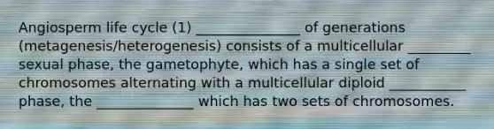 Angiosperm life cycle (1) _______________ of generations (metagenesis/heterogenesis) consists of a multicellular _________ sexual phase, the gametophyte, which has a single set of chromosomes alternating with a multicellular diploid ___________ phase, the ______________ which has two sets of chromosomes.