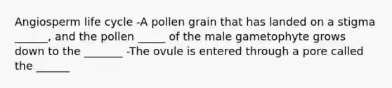 Angiosperm life cycle -A pollen grain that has landed on a stigma ______, and the pollen _____ of the male gametophyte grows down to the _______ -The ovule is entered through a pore called the ______