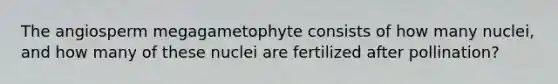 The angiosperm megagametophyte consists of how many nuclei, and how many of these nuclei are fertilized after pollination?