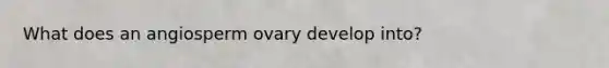 What does an angiosperm ovary develop into?