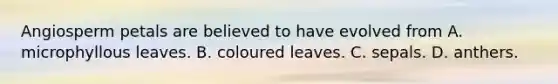 Angiosperm petals are believed to have evolved from A. microphyllous leaves. B. coloured leaves. C. sepals. D. anthers.