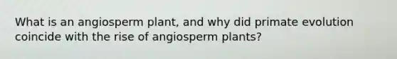 What is an angiosperm plant, and why did primate evolution coincide with the rise of angiosperm plants?