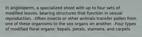 In angiosperm, a specialized shoot with up to four sets of modified leaves, bearing structures that function in sexual reproduction. -Often insects or other animals transfer pollen from one of these organisms to the sex organs on another. -Four types of modified floral organs: Sepals, petals, stamens, and carpels