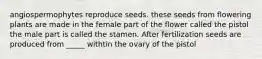 angiospermophytes reproduce seeds. these seeds from flowering plants are made in the female part of the flower called the pistol the male part is called the stamen. After fertilization seeds are produced from _____ withtin the ovary of the pistol