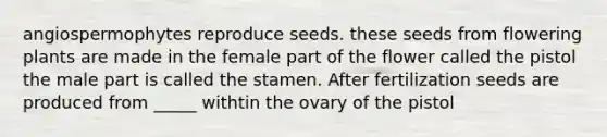 angiospermophytes reproduce seeds. these seeds from flowering plants are made in the female part of the flower called the pistol the male part is called the stamen. After fertilization seeds are produced from _____ withtin the ovary of the pistol