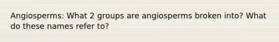 Angiosperms: What 2 groups are angiosperms broken into? What do these names refer to?