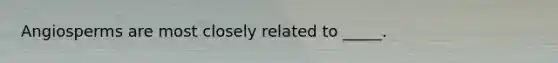 Angiosperms are most closely related to _____.