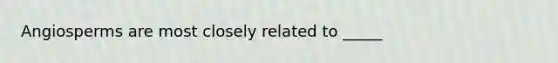 Angiosperms are most closely related to _____