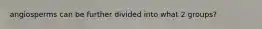 angiosperms can be further divided into what 2 groups?
