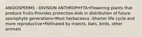 ANGIOSPERMS - DIVISION ANTHROPHYTA•Flowering plants that produce fruits-Provides protection-Aids in distribution of future sporophyte generations•Most herbaceous -Shorter life cycle and more reproductive•Pollinated by insects, bats, birds, other animals