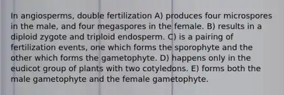 In angiosperms, double fertilization A) produces four microspores in the male, and four megaspores in the female. B) results in a diploid zygote and triploid endosperm. C) is a pairing of fertilization events, one which forms the sporophyte and the other which forms the gametophyte. D) happens only in the eudicot group of plants with two cotyledons. E) forms both the male gametophyte and the female gametophyte.