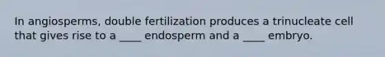 In angiosperms, double fertilization produces a trinucleate cell that gives rise to a ____ endosperm and a ____ embryo.​