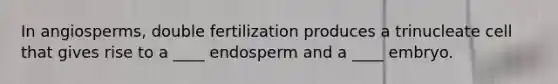 In angiosperms, double fertilization produces a trinucleate cell that gives rise to a ____ endosperm and a ____ embryo.