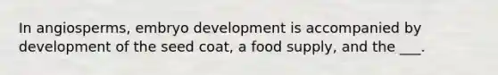 In angiosperms, embryo development is accompanied by development of the seed coat, a food supply, and the ___.